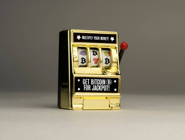 Wild Coaster live dealer table on mobile phone